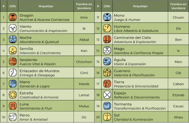 Las Bases Del Tzolkin Y Componentes Para Principiantes Mayankin